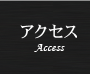 アクセス Access