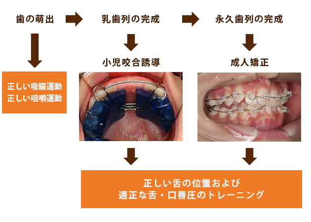 これからの治療方針