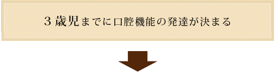 ３歳児までに口腔機能の発達が決まる