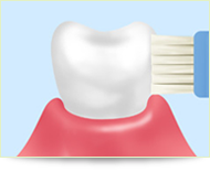 ブラッシング指導